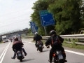 CAM00442-1