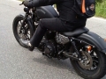 CAM00444-1